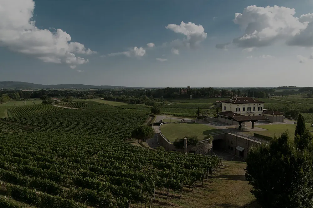 Schiopetto winery — Friuli Venezia Giulia — Dionysus
