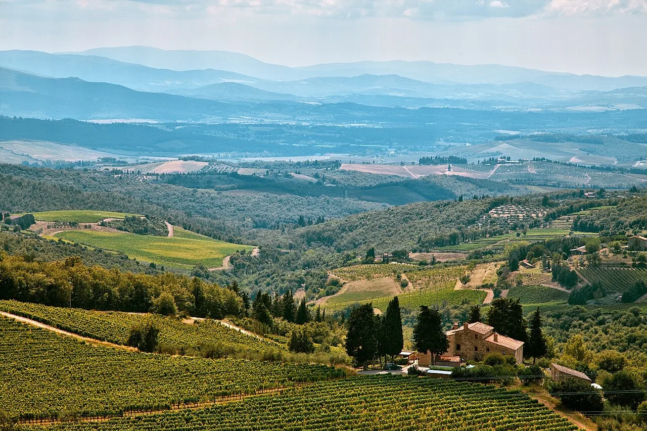 Vino rosato associato al disciplinare del Chianti DOP